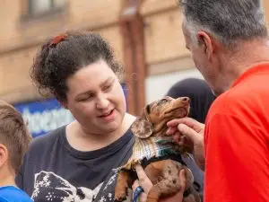 Nuneaton BID - Animal Adventure - Quick Selections - Web-013