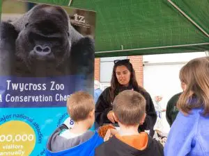 Nuneaton BID - Animal Adventure - Quick Selections - Web-022