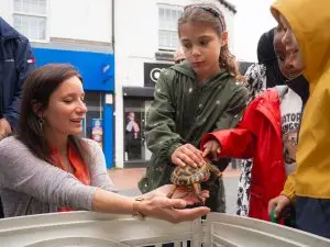 Nuneaton BID - Animal Adventure - Quick Selections - Web-028