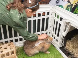 Nuneaton BID - Animal Adventure - Quick Selections - Web-036