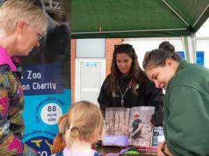 Nuneaton BID - Animal Adventure - Quick Selections - Web-045