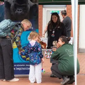 Nuneaton BID - Animal Adventure - Quick Selections - Web-047