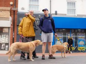 Nuneaton BID - Animal Adventure - Quick Selections - Web-083