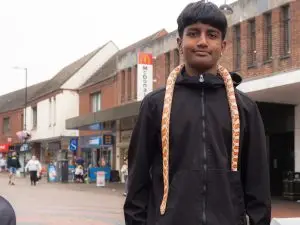Nuneaton BID - Animal Adventure - Quick Selections - Web-086