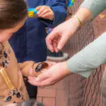 Nuneaton BID - Creepy & Cute - Web-057